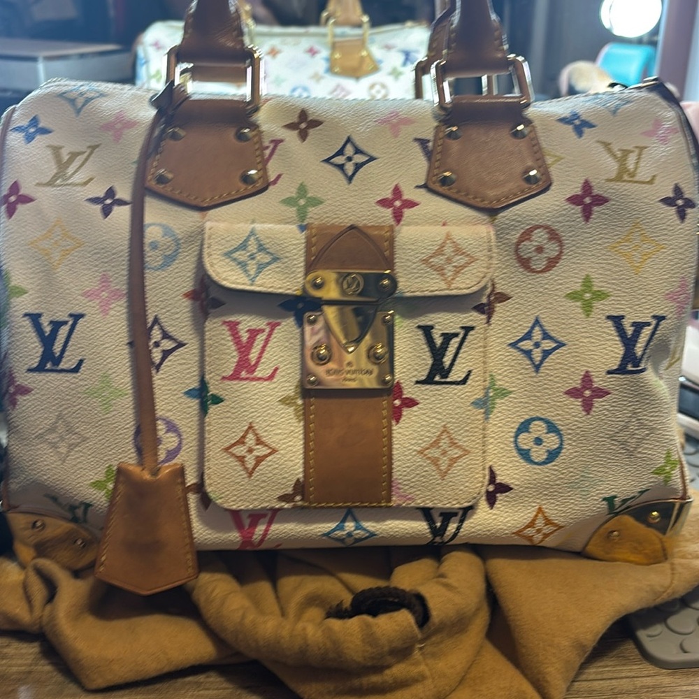 Louis Vuitton Multicolor Monogram Bag